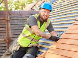 Best Roof Maintenance and Cleaning  in Young Harris, GA